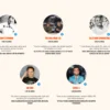 Why Persuasions AI Stands Alone