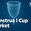 Sustainable Sanitation Meets Smart Investment The Menstrual Cup Market’s Meteoric Rise
